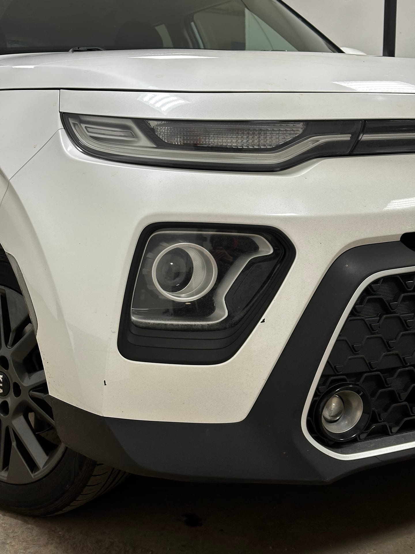Kia Soul — замена линз в Alfa-Car, фото 3
