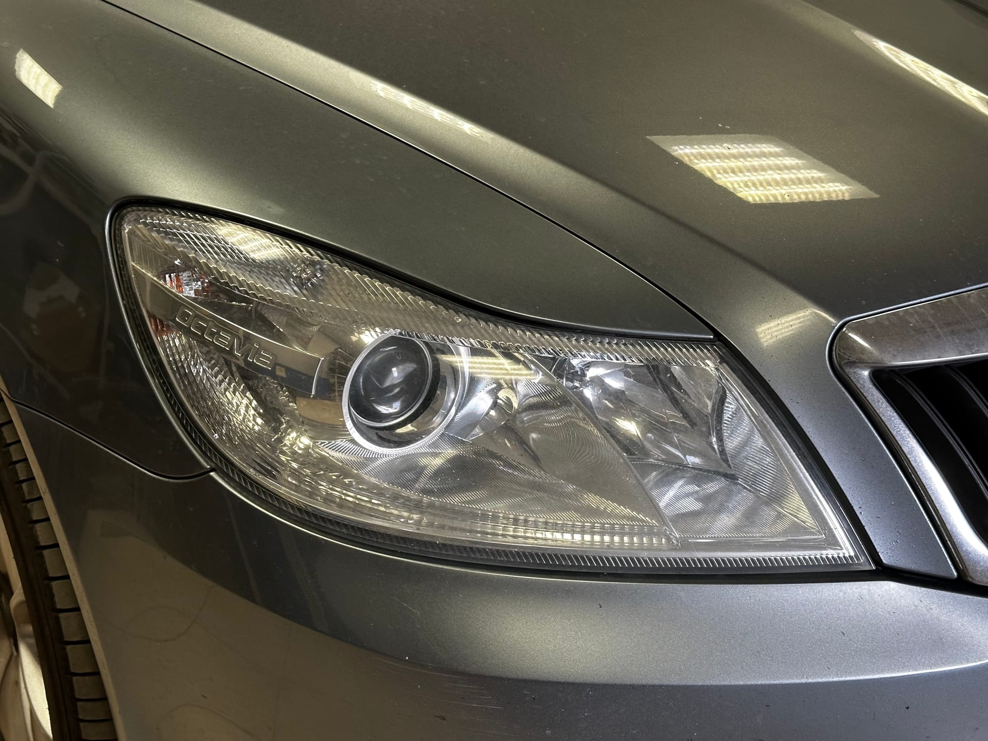 Skoda Octavia — замена линз в Alfa-Car, фото 4
